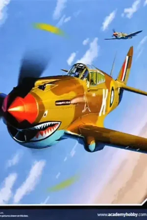 Laatste Kans Academy 1:48 Tomahawk IIB "Ace of African Front" - modelbouw