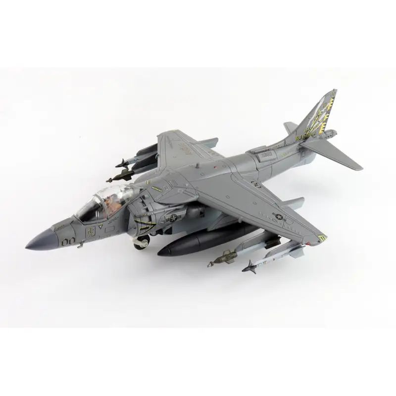 AV-8B Harrier II VMA-542 Amerikaanse mariniers 2019 Miniatuur Voordeelprijs