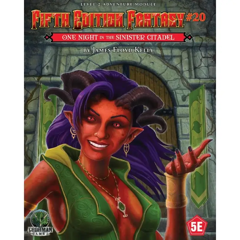 Superprijs FEF RPG 20 One Night In The Sinister Citadel