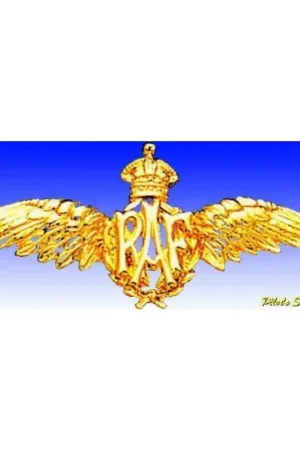 Veilige Betaling Royal Air Force Pilot Wings Badge