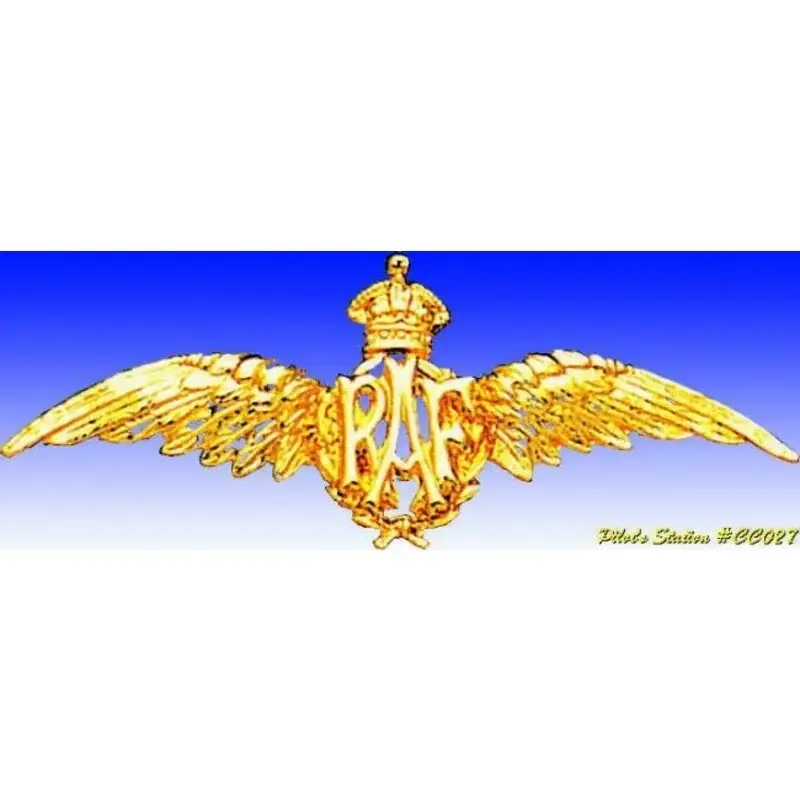 Veilige Betaling Royal Air Force Pilot Wings Badge