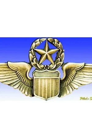 Gecertificeerd USAF Command Pilot wings