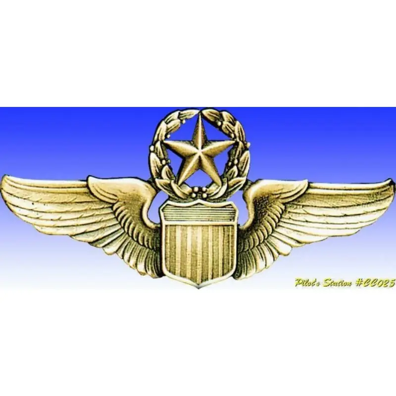 Gecertificeerd USAF Command Pilot wings