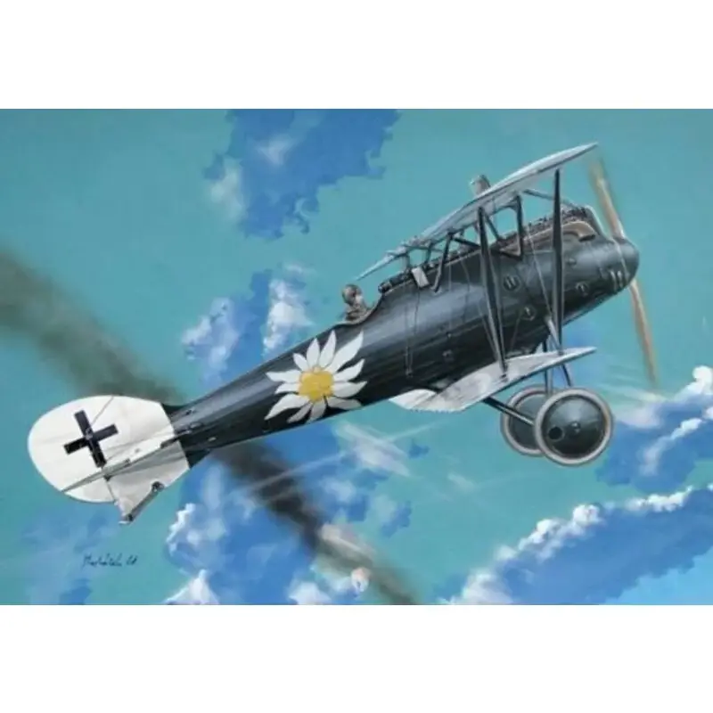 Dagaanbieding Roland D.VIa (Otto Kissenberth) Schaalmodel