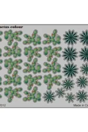 Cactus colour Gratis Retour