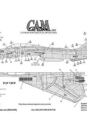 Uitverkoop Sticker Grumman F-14D (1) 163893 NH/101 VF-213 Black Lions USS Carl Vinson 1999 Low vis