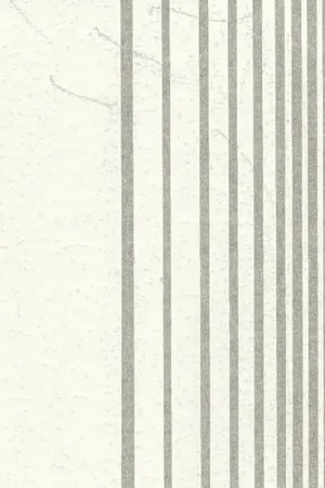 Sticker White stripes. Assorted sizes (Dry rub down) Decal Snelle Levering