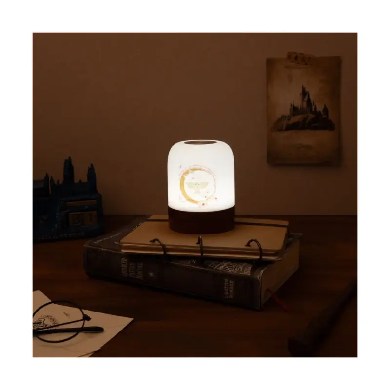 Beperkte Voorraad Harry Potter Room Lamp