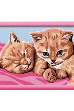 Nieuw Gemberkleurige kittens