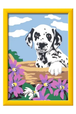 Nieuw Baby Dalmatiër