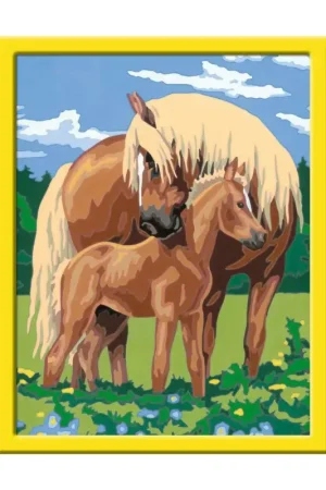 Trotse paarden Fabrieksprijs