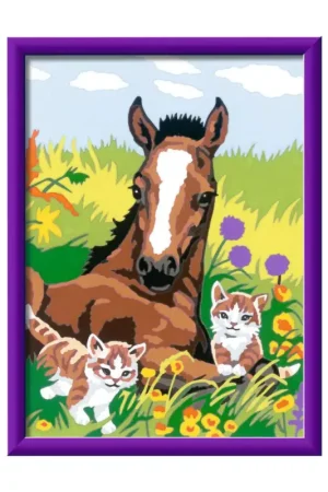 Express Levering Paard en kittens