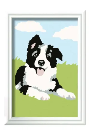 Border Collie Merkproduct