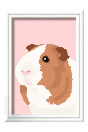 Cavia Actieprijs
