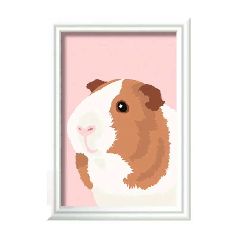 Cavia Actieprijs