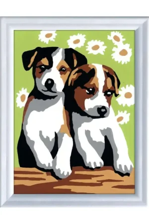 Twee kleine puppy's Laatste Kans