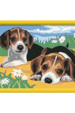 Beagle-puppy's Koop Vandaag