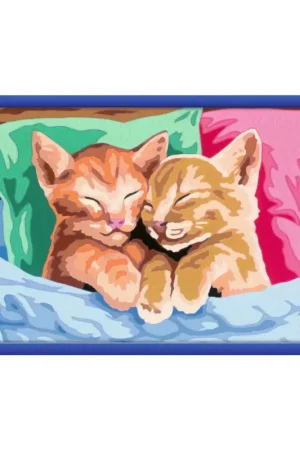 Slapende kittens Direct Verzonden