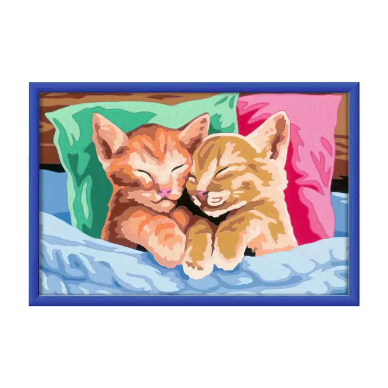 Slapende kittens Direct Verzonden