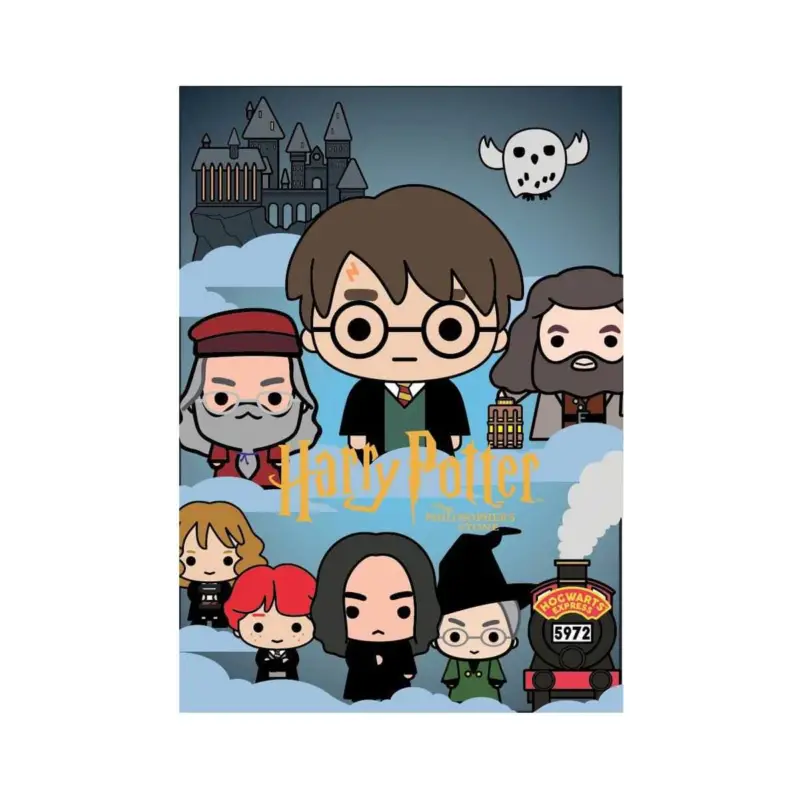 Aanbieding Harry Potter and the Sorcerer's Stone 3D Foam Magnet