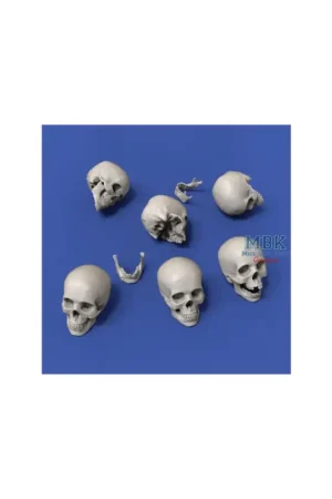Skulls/ Totenköpfe (75mm) Figuren Nu Kopen
