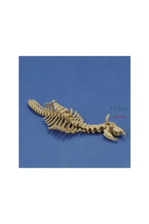 Cow skeleton n.1 (1:35) Figure Must-Have