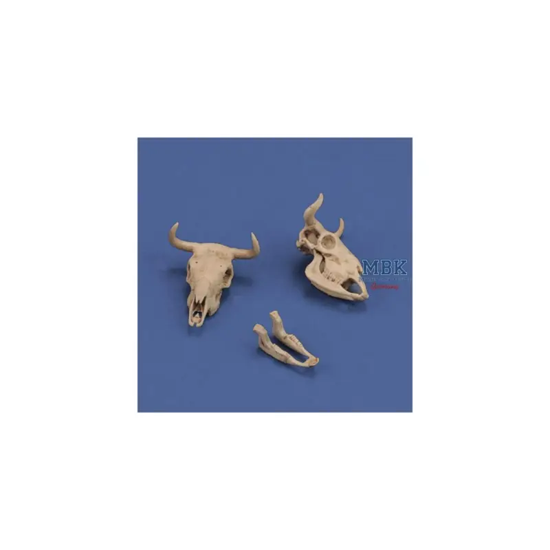 Gratis Retour Cow skulls (1:35)