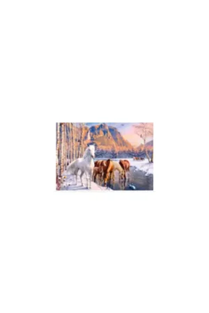 Winter melt Puzzel Snelle Levering
