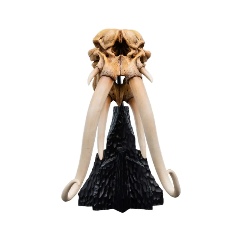 Hete Deal The Lord of the Rings - Skull of a Mumak statuette 15 cm Figuurtje