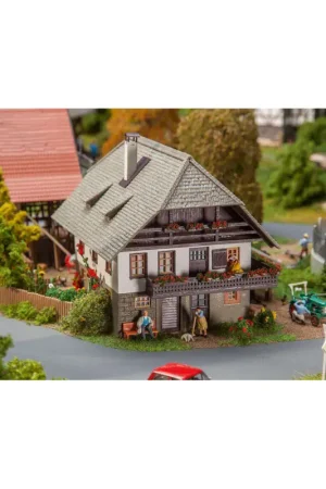 Oberprechtal day laborers' house Lage Prijs