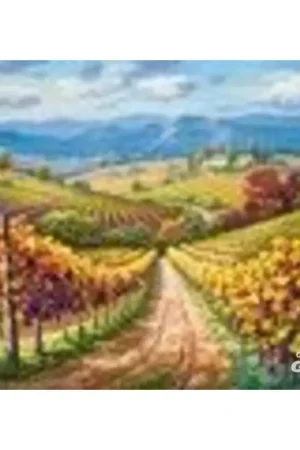 Veilige Betaling Vineyard Hill, puzzel van 3000 stukjes