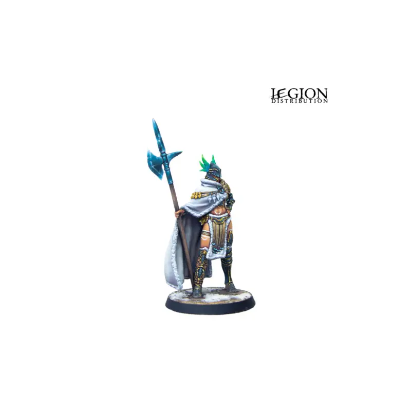 Lage Prijs Eldfall Chronicles - Amazon Gladiatrix (NW Edition) (ENG) Figuur spellet