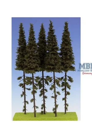 Fichten / Spruce w/ Trunk 23-27 cm Hochstamm 5x Speciale Aanbieding