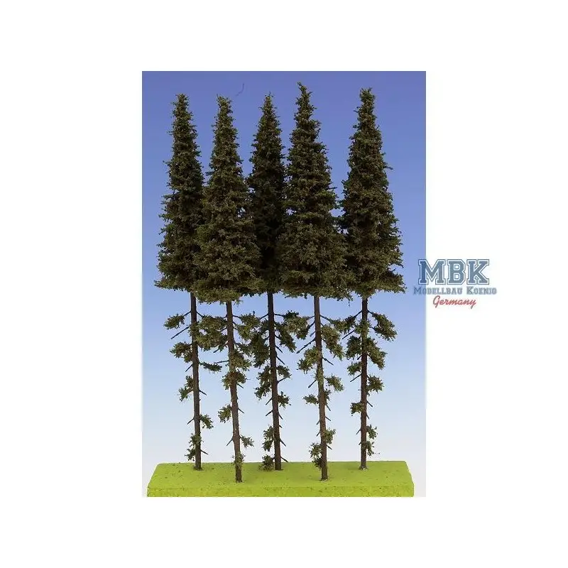 Fichten / Spruce w/ Trunk 23-27 cm Hochstamm 5x Speciale Aanbieding
