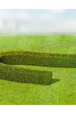 2 PREMIUM Decorative hedges/European hornbeams Direct Beschikbaar