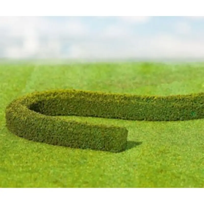 2 PREMIUM Decorative hedges/European hornbeams Direct Beschikbaar
