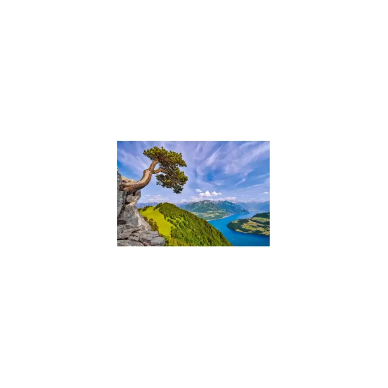 View of the lake of uri switzerland Puzzel Rechtstreeks Van De Fabrikant
