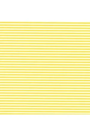 Laatste Kans Sticker 1/16 Yellow Parallel Stripes Decal