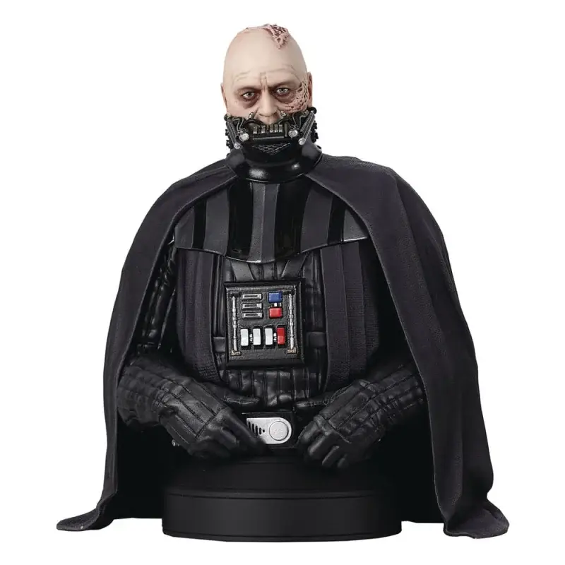 Star Wars Episode VI bust 1/6 Darth Vader (unhelmeted) 15 cm Lage Kosten