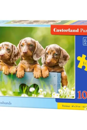 Puzzel Cute Dachshunds, 100 Piece Puzzle Lage Kosten
