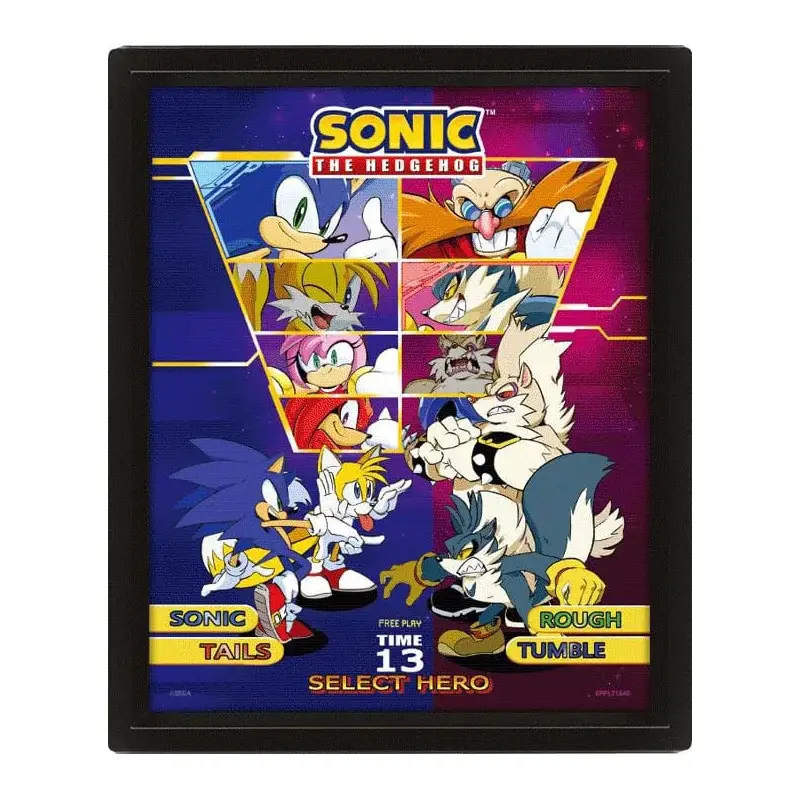 Select Your Fighter 3D effect framed Sonic The Hedgehog poster 26 x 20 cm Hete Deal