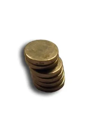 Shop Nu Ronde magneten Diam.6mm (6st)