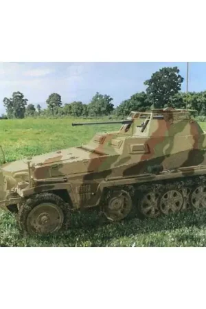 Beperkte Voorraad Sd.Kfz.250 / 9 Ausf.A le.SPW (2 cm) Schaalmodel