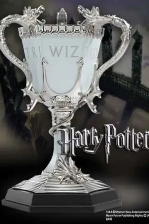 Harry Potter - The Triwizard Cup Tijdelijk Beschikbaar
