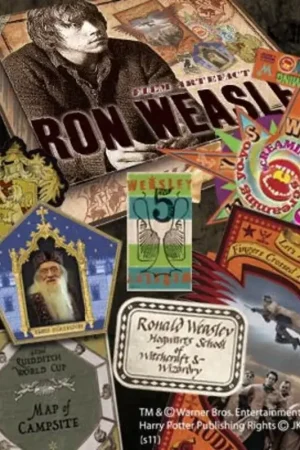 Beste Prijs Harry Potter Artefact Box Ron Weasley