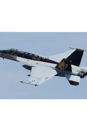 Superprijs McDonnell-Douglas F/A-18E Super Hornet VFA-115 Eagles CAG 2015 Schaalmodel