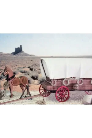 Pioneers Koop Online