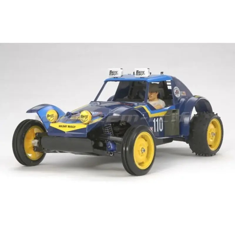 Beste Prijs Holiday Buggy 2010 DT02 elektrisch RC buggy