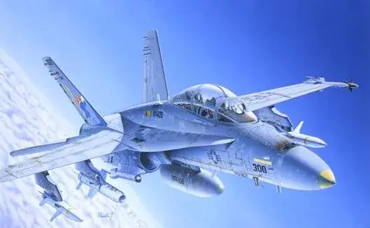 Betaalbaar Italeri 1/72 F/A 18 Wild Weasel C/D